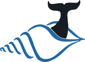 Little Whale Capital